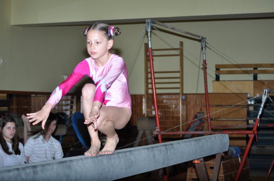 Kopřivnického závodu Brnkačka 2014 se zúčastnilo celkem 98 gymnastek rozdělených do pěti kategorii a domácí závodnice si vybojovaly dvě medaile.
FOTO: KRISTINA ČABLOVÁ