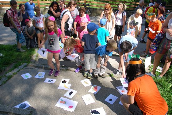 Na akci Hrajeme si pro zdraví plnily děti různé úkoly, od skládání obrázků, přes skákání až po rozdělování potravin na zdravé a nezdravé. Akce se líbila nejen dětem, ale i rodičům. 
FOTO: DANA HOĎÁKOVÁ