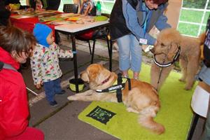 Možnosti pohladit si psy používané pro canisterapii neodolalo téměř žádné dítě. Psi i přes únavu byli trpěliví a mnohdy necitlivé dotyky dětí snášeli v klidu.