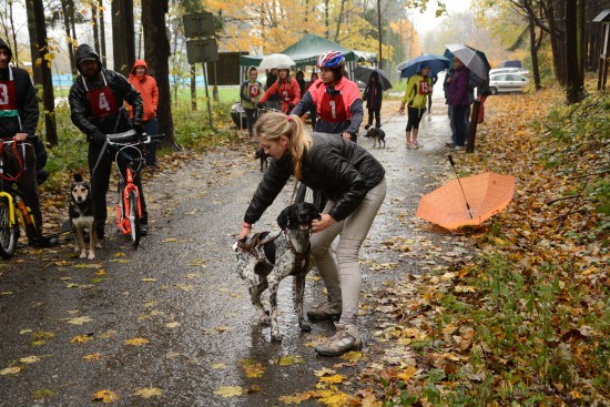 I přes nevlídné počasí se na start prvního canicrossového závodu v Kopřivnici postavilo víc jak padesát závodníků se svými čtyřnohými miláčky.
FOTO: DAVID MACHÁČEK