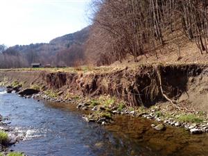 Koryto řeky Lubiny se nad Vlčovicemi přirozeně mění díky opakovaným zvýšeným průtokům vody. S podemletým břehem zmizela také část málo používané lesní cesty.
FOTO: OŽP KOPŘIVNICE