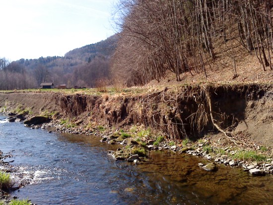 Koryto řeky Lubiny se nad Vlčovicemi přirozeně mění díky opakovaným zvýšeným průtokům vody. S podemletým břehem zmizela také část málo používané lesní cesty.
FOTO: OŽP KOPŘIVNICE