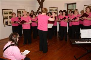 Pěvecké sdružení Kopřivnice připravilo program šitý na míru oslavám Dne matek a májovému období. Spolu s ním na Fojtství vystoupil i studentský soubor Gaudium.                  
FOTO: DAVID MACHÁČEK