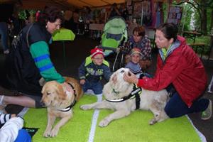 Canisterapie se těšila velkému zájmu. Děti si nenechaly ujít příležitost pohladit si čtyřnohé pomocníky. Jak jsou vycvičeni, předváděli v samostatných vstupech.
FOTO: DANA HOĎÁKOVÁ