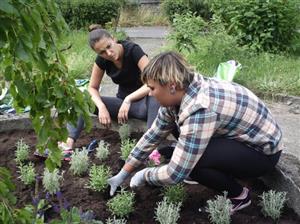 Děvčata si v rámci dobrovolnického projektu vyzkoušela i zahradnické práce, když vysazovala květinové záhony na ulici Wolkerově.
FOTO: ROMANA BUKOVSKÁ