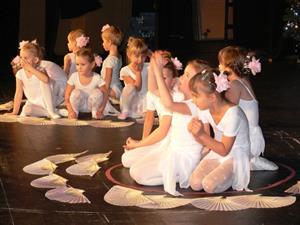 Směsice nejrůznějších tanečních stylů, choreografií a kostýmů byla k vidění v sobotu odpoledne v kulturním domě na akci Moje trdlování, kterou uspořádala Mateřská škola Hájov.
FOTO: ILONA MAZALOVÁ