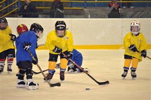 O přestávce mezi třetinami hokejového utkání mezi Kopřivnicí a Novým Jičínem se na ledě představily i nejmenší naděje místního klubu.
FOTO: KRISTINA ČABLOVÁ