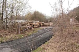 Městský pozemek na ulici Husově má posloužit jako prostor pro skladování dlažebních kostek vytěžených v rámci rekonstrukce ulice Štramberské.
FOTO: DAVID MACHÁČEK
