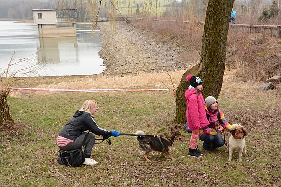 Dobročinnou akci ve prospěch psů v útulku ve Vlčovicích uspořádali provozovatelé občerstvení na přehradě ve Větřkovicích.
FOTO: DAVID MACHÁČEK
