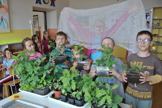 Děti navštěvující družinu v ZŠ sv. Zdislavy posbíraly z vlastní iniciativy žaludy a vypěstovaly z nich stromky, které vysázely na Červeném kameni.
FOTO: LUDMILA BAJEROVÁ