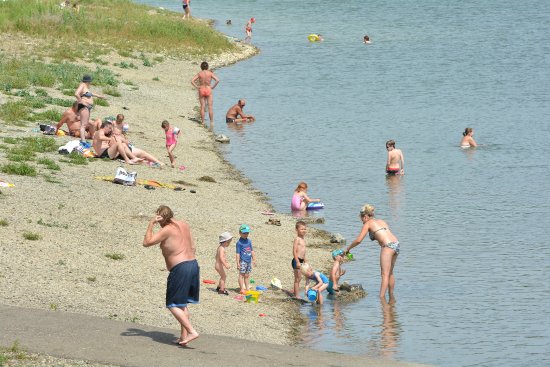 Lepších služeb se rekreační návštěvníci nádrže ve Větřkovicích v letošním roce nedočkají. Koupání je ale bez omezení a i kvalita vody je přes nízkou hladinu stále vhodná ke koupání.
FOTO: DAVID MACHÁČEK