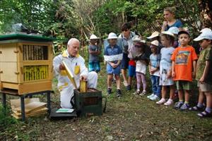 Oldřich Němec, předseda místní základní organizace včelařů, předvádí dětem práci s živými včelami nejen v rámci Festivalu medu a písničky, ale i v mateřských školách. 
FOTO: DANA HOĎÁKOVÁ