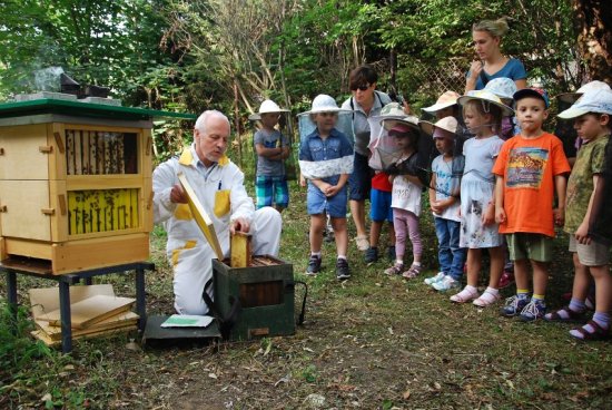 Oldřich Němec, předseda místní základní organizace včelařů, předvádí dětem práci s živými včelami nejen v rámci Festivalu medu a písničky, ale i v mateřských školách. 
FOTO: DANA HOĎÁKOVÁ