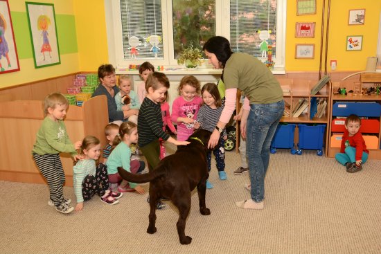 Setkání s canisterapeutickými psy bylo pro děti z Mateřské školy Mniší příjemným zpestřením. Podobný program čeká i na děti v Kopřivnici. 
FOTO: DAVID MACHÁČEK