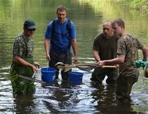 Rybáři byli při odlovu ryb sami mile překvapeni různorodostí ryb, což prý svědčí o zlepšení vody v řece. Během dvou akcí odlovili celkem 6,5 tisíce ryb.
FOTO: DANA HOĎÁKOVÁ