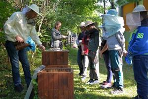 Nejen děti z mateřských a základních škol, ale i další návštěvníci Festivalu medu a písničky se mohli seznámit s prací včelaře s živými včelstvy. 
FOTO: DANA HOĎÁKOVÁ