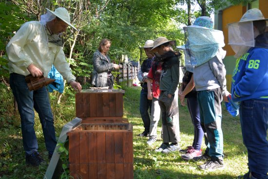 Nejen děti z mateřských a základních škol, ale i další návštěvníci Festivalu medu a písničky se mohli seznámit s prací včelaře s živými včelstvy. 
FOTO: DANA HOĎÁKOVÁ