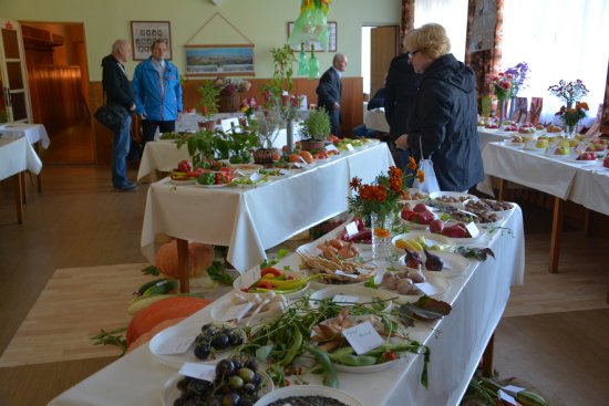 Neúroda poznamenala i tradiční zahrádkářskou výstavu v Lubině. Menší sortiment ovoce nahradila nadúroda hub.
FOTO: DANA HOĎÁKOVÁ