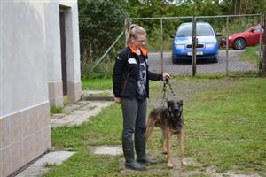 Psi se ve vlčovickém útulku většinou moc dlouho nezdrží. Za celý loňský rok jich prošlo útulkem 208.
ILUSTRAČNÍ FOTO: DANA HOĎÁKOVÁ