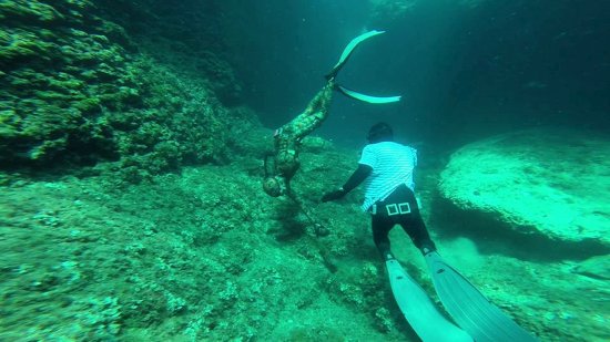 Volné potápění místnímu instruktorovi parkouru Pavlu Rösnerovi silně učarovalo. Kroužek s výukou tohoto atraktivního sportu ale zatím nepřipravuje.
FOTO: PAVEL RÖSNER