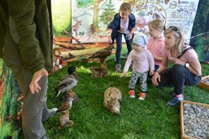 Ve stánku Českých lesů si děti mohly prohlédnout vycpaná zvířata, nebo se projít naboso po pocitových chodníčcích.
FOTO: DANA HOĎÁKOVÁ