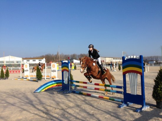 Noemi Červenková z Kopřivnice si jako sport vybrala jezdectví a od roku 2016 posbírala ze závodů již patnáct šerp pro prvních pět soutěžících.
FOTO: KARIN ČERVENKOVÁ