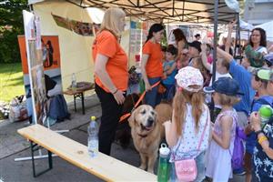 U stánků poskytovatelů sociálních služeb děti plnily různé úkoly nebo vyslechly krátkou přednášku.
FOTO: DANA HOĎÁKOVÁ