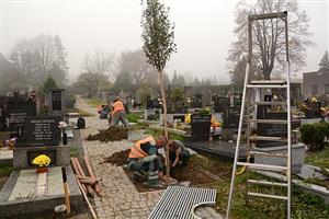 Zasazením vzrostlých stromů ve staré části kopřivnického hřbitova byla v minulém týdnu završena jeho letošní rekonstrukce.
FOTO: DAVID MACHÁČEK
