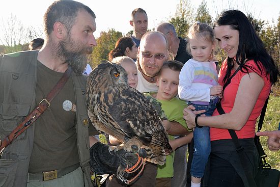 Na Drakiádě po ukázce sokolnické skupiny využili účastníci možnosti pohladit si dravce.
FOTO: DANA HOĎÁKOVÁ
