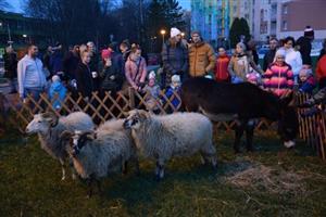 Nedělní zahájení adventu v Kopřivnici zpestřil nejen koncert sboru Ondráš, ale i betlémská stáj před kulturním domem.
FOTO: DAVID MACHÁČEK