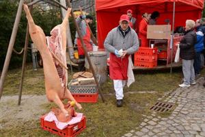 Tradiční zabijačka s ukázkami řeznického řemesla přilákala v sobotu 22. února do areálu Muzea Fojtství stovky Kopřivničanů.
FOTO: DAVID MACHÁČEK