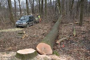 Kácením stromů na trase budoucí kanalizace začaly práce na odkanalizování místních částí Vlčovic a Mniší.
FOTO: DAVID MACHÁČEK