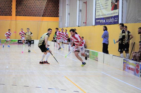 Lukáš Vávra byl se 47 kanadskými body hlavní oporou kopřivnického florbalového celku.
FOTO ARCHIV: KRISTINA ČABLOVÁ