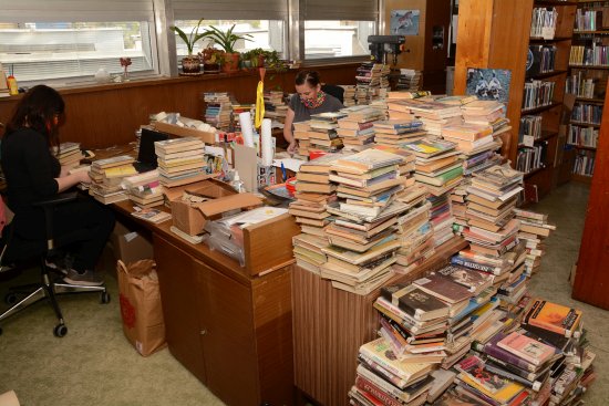 Dvouměsíční přerušení provozu knihovnice městské knihovny využily k práci na knižním fondu.
FOTO: DAVID MACHÁČEK