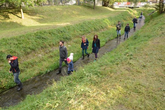 Většinu času protéká korytem Kopřivničky tak málo vody, že je možné jejím často vybetonovaným korytem pohodlně projít.
FOTO: DAVID MACHÁČEK