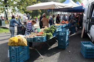 O farmářské trhy v parku E Beneše byl tradičně velký zájem. Kritici akce by upřednostnili jejich přesun mimo pracovní dny.
FOTO: DAVID MACHÁČEK