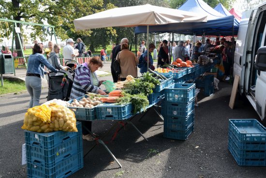 O farmářské trhy v parku E Beneše byl tradičně velký zájem. Kritici akce by upřednostnili jejich přesun mimo pracovní dny.
FOTO: DAVID MACHÁČEK