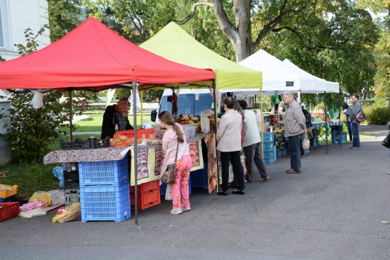 Poslední farmářský trh v letošním roce přilákal 38 prodejců, kteří kupujícím nabízeli širokou škálu produktů.
FOTO: DAVID MACHÁČEK