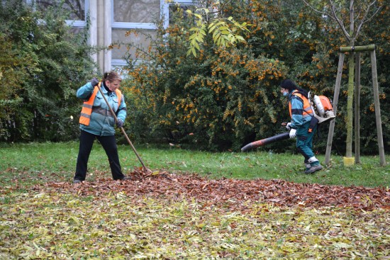 Začal každoroční úklid spadaného listí. Ten bude probíhat ve městě pět až šest týdnů v závislosti na počasí.
FOTO: DANA HOĎÁKOVÁ
