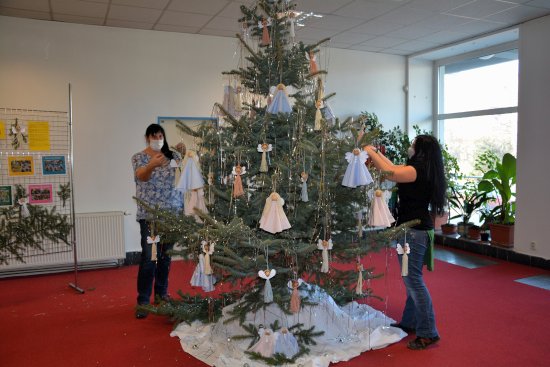 O výzdobu vánočního stromu ve vestibulu kopřivnické radnice se letos postaralo Mateřské centrum Klokan. Jednotlivé ozdoby vytvořily děti a maminky dle návodu doma. 
FOTO: DANA HOĎÁKOVÁ