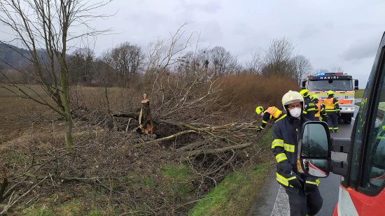 V sobotu 23. ledna těsně před polednem byli vysláni vlčovičtí hasiči k prvnímu společnému zásahu s profesionální jednotkou HZS Kopřivnice, aby odstranili spadlý strom na frekventovanou komunikaci I/58.
FOTO: MARTIN KAHÁNEK