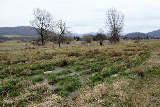 První stromy byly u cyklostezky a mokřadu u Průmyslové zóny ve Vlčovicích už vloni na podzim. Nyní by na tomto místě měly být vysázeny další zhruba čtyři desítky.
FOTO: D. MACHÁČEK