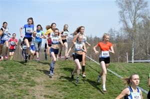 Na mistrovství ČR v krosu kategorie starších žákyň obsadily atletky AK EZ Vanda Křížková (č. 448) sedmé a Lucie Šenkeříková (č. 411, vedle čísla 408) deváté místo.
FOTO: JOSEF JANDA, TÝDENÍK TÁBORSKO, WWW.JCTED.CZ