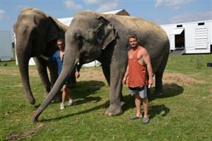 Hynek Navrátil, ředitel cirkusu Humberto, s dvojicí slonic, které jsou největší chloubou, ale zároveň i velkou nákladovou položkou v provozu cirkusu.
FOTO: DAVID MACHÁČEK