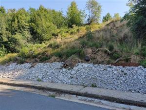 Vloni v červnu sesunutý svah ve Větřkovicích je i přes provizorní zajištění paty sesuvu podle odborníků stále aktivní.
FOTO: DAVID MACHÁČEK