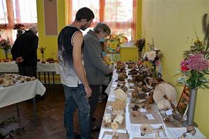 Na výstavě v Lubině se těšila velkému zájmu nejen zelenina a ovoce, ale hlavně kolekce 180 druhů hub.
FOTO: DANA HOĎÁKOVÁ
