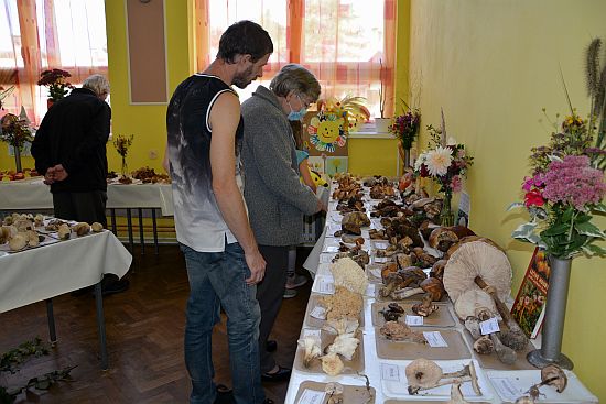 Na výstavě v Lubině se těšila velkému zájmu nejen zelenina a ovoce, ale hlavně kolekce 180 druhů hub.
FOTO: DANA HOĎÁKOVÁ
