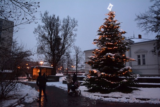Vánoční strom před Ringhofferovou vilou se poprvé rozzářil v neděli 28. listopadu devět minut před 16. hodinou. Událost sledovalo jen několik lidí. Původně plánovaný program zahájení adventu byl zrušen
FOTO: DAVID MACHÁČEK