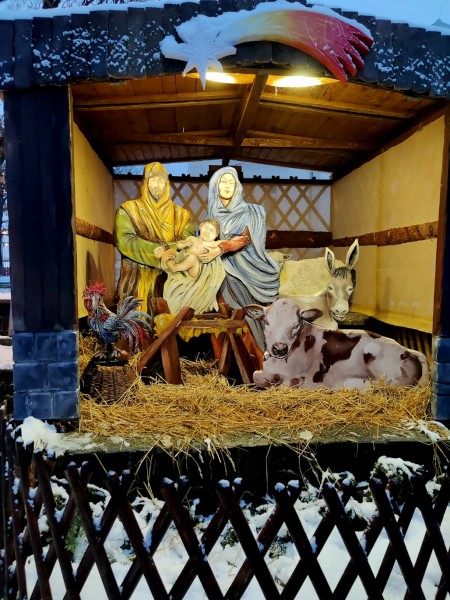 Novou součástí vánoční výzdoby města jsou i jesličky vytvořené v dílnách KDK, jejichž autorem je Hynek Tekula.
FOTO: KN
