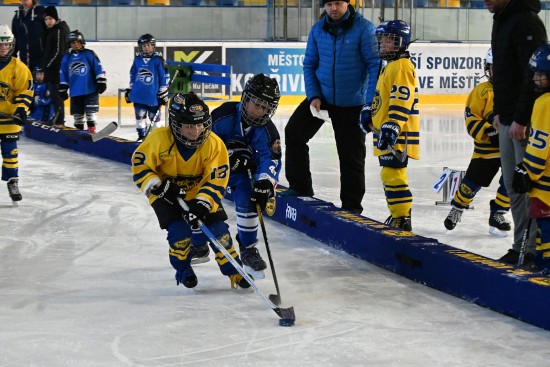 Malí hokejisté HC Kopřivnice získali na domácím turnaji v konkurenci dalších čtyř týmů Moravskoslezského kraje zlato a stříbro.
FOTO: KRISTINA ČABLOVÁ